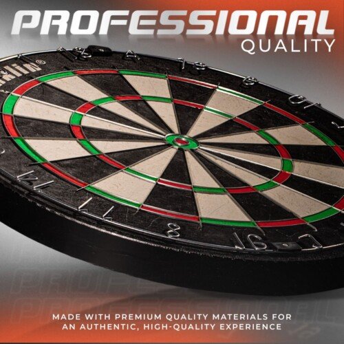 Professional Dart Board